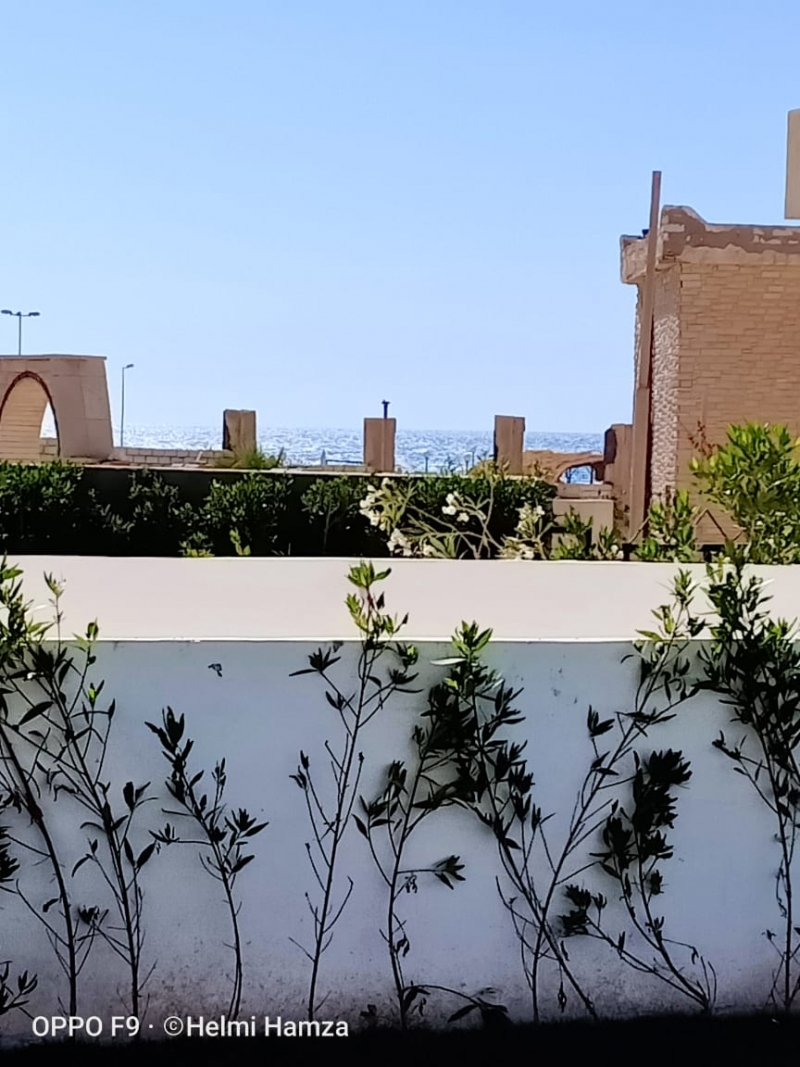 شالية بقرية الروضة  متر² دور ارضى بحديقة