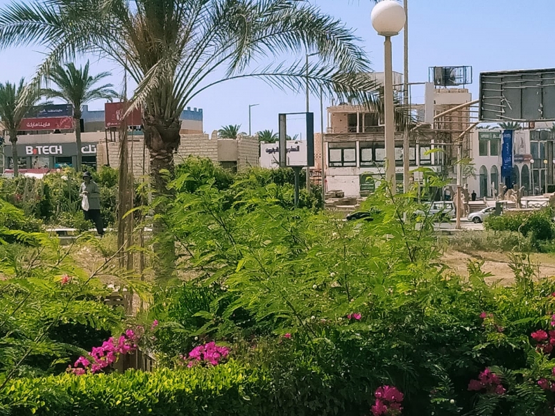 شالية بقرية مارينا 2  متر² دور ارضى بحديقة