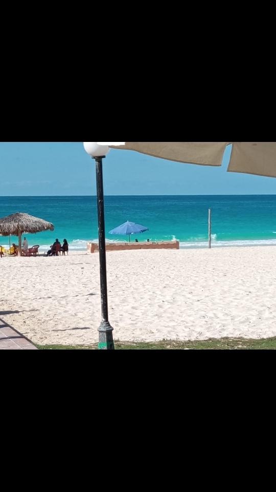 شالية بقرية حورس  متر² اول علوى بروف