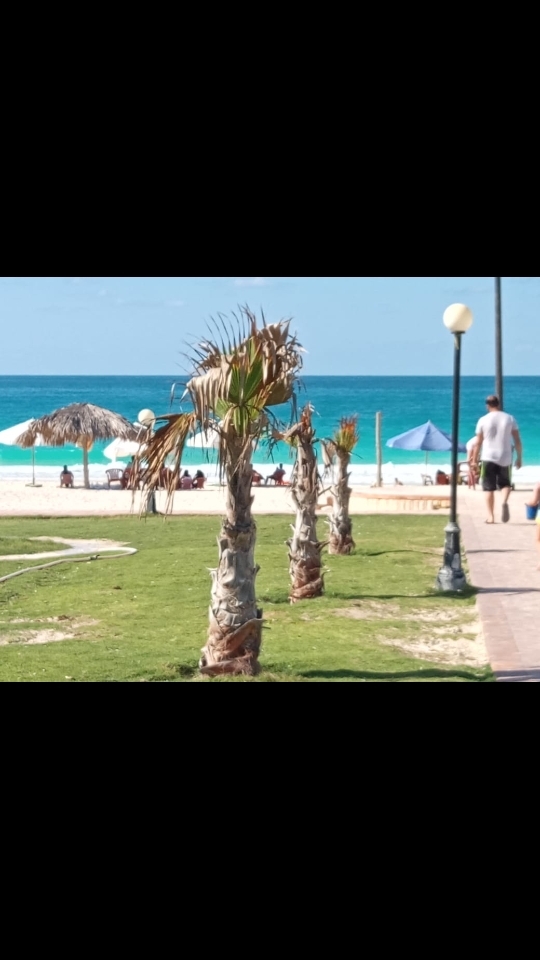شالية بقرية حورس  متر² اول علوى بروف