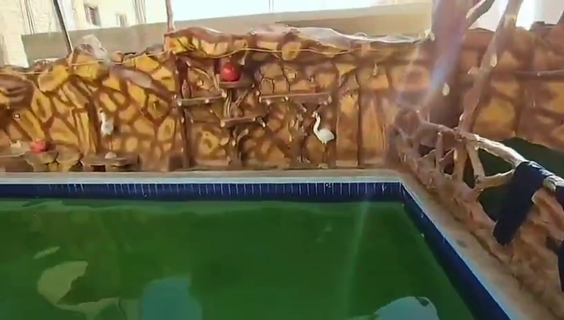 شاليه لقطه للبيع بحمام سباحه خاص والاستلام فوررري في الساحل الشمالي قرية حورس 